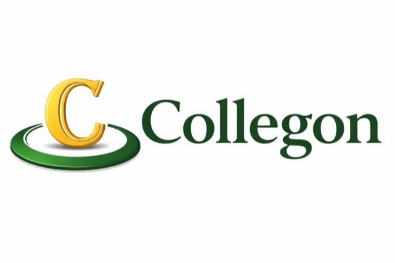 Collegon: Platform Evaluation and Success Potential